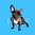 Cuadro Mascota bulldog en azul