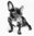 Cuadro Bulldog Francés blanco y negro