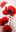 Cuadro flores amapolas rojas vertical