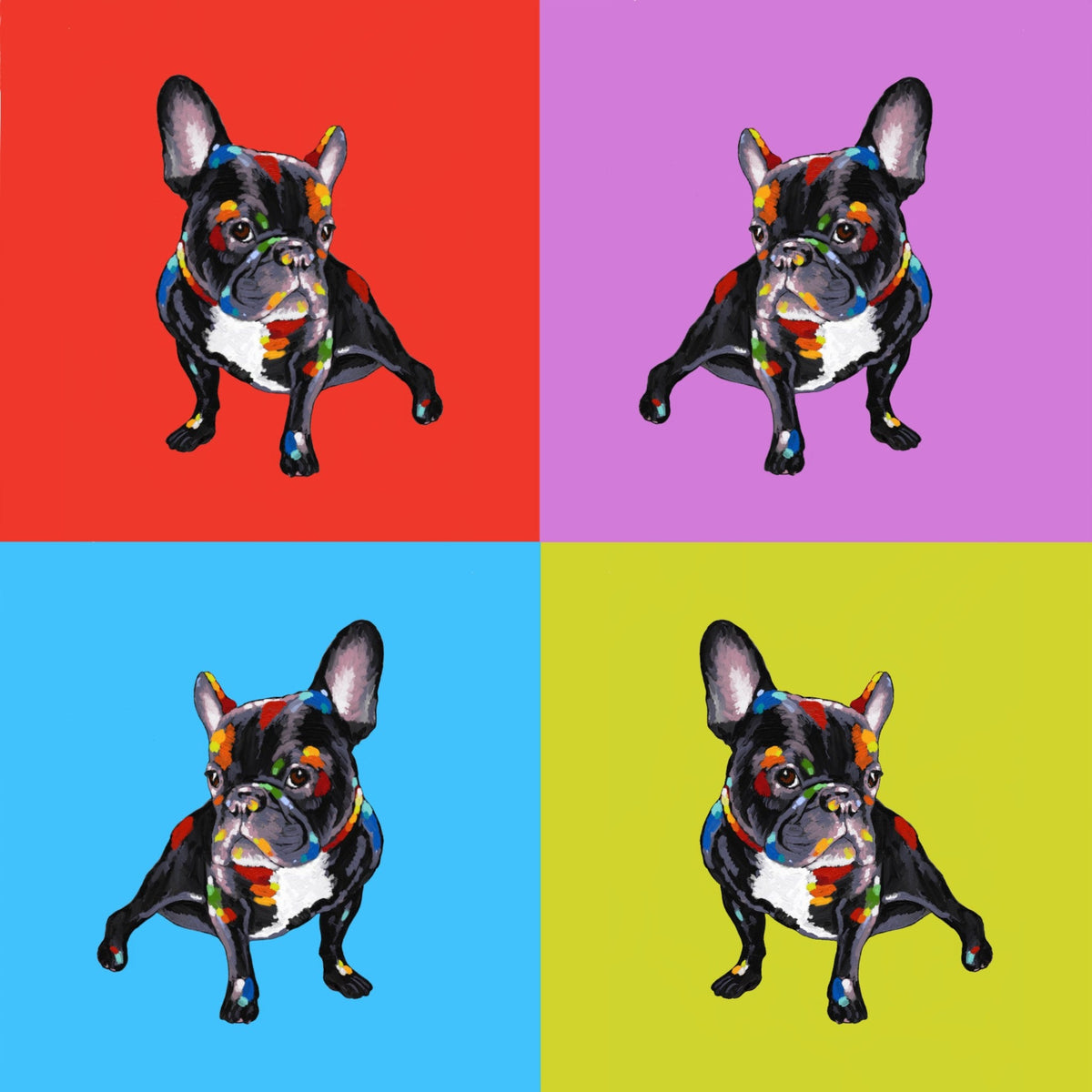 Cuadro Bulldog Francés Pop Art - la obra