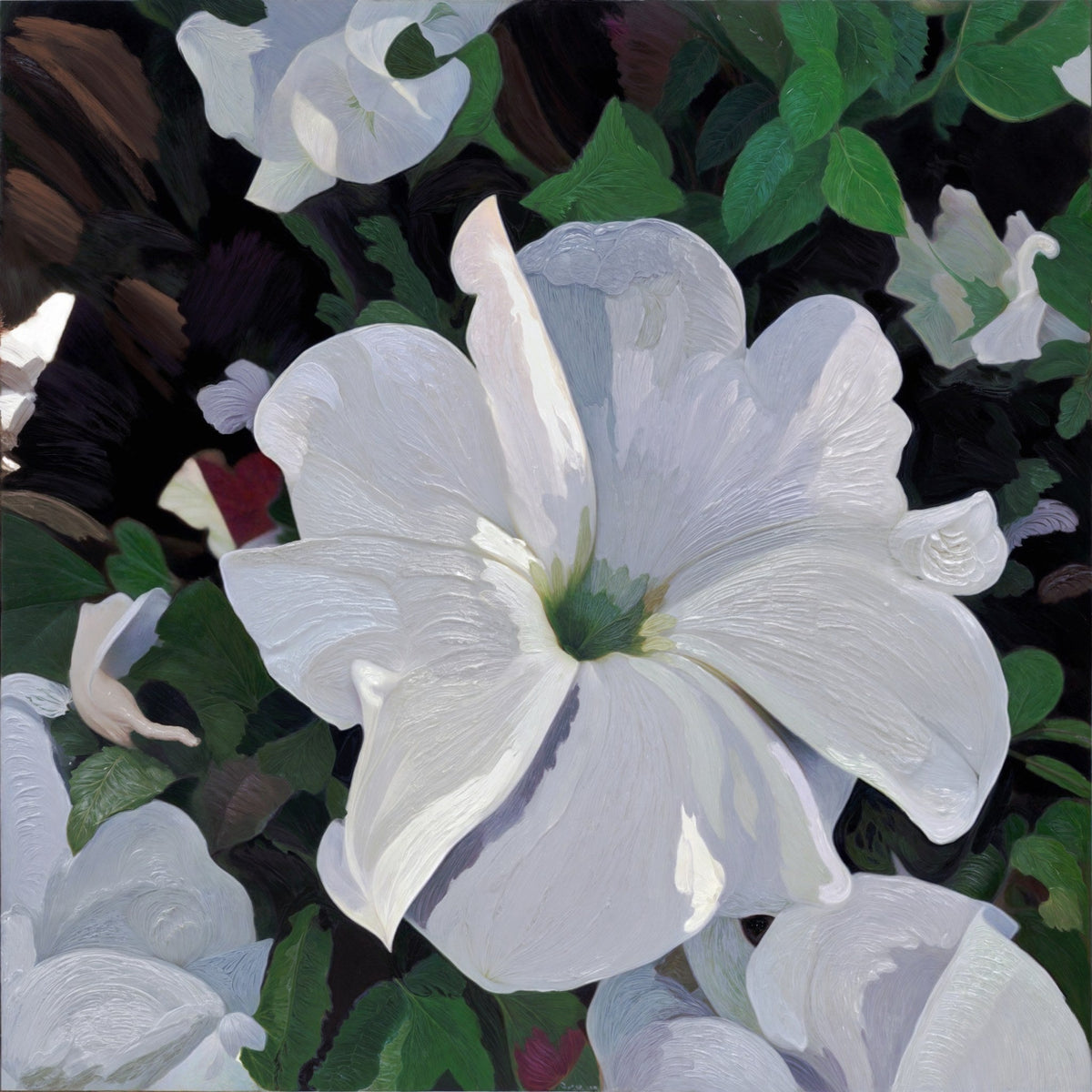 Cuadro de Flores con petunias blancas - la obra