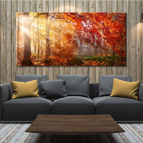 Autumn and forest landscape picture