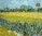 Van Gogh Campo de Lirios Painting