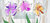 Cuadro de Flores en tres colores