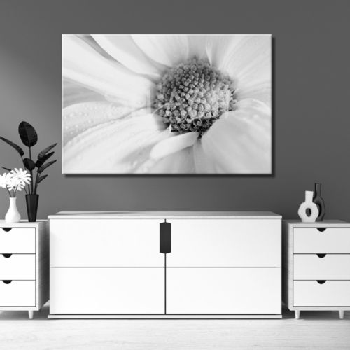 Black and white margarita flower Painting