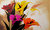 Multicolour painting of abstract flowers