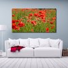 Floral landscape picture with poppies