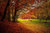 Autumnal landscape picture warm tones