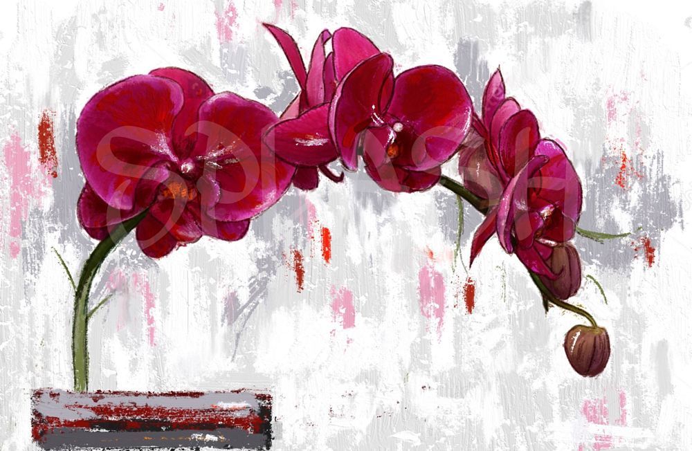 Cuadro de flores con orquídeas rojas|Cuadros Splash
