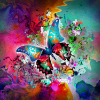 SP382-Cuadro-moderno-decoracion-guapo-splash-mariposa-abstracto-arte-decorativo-color
