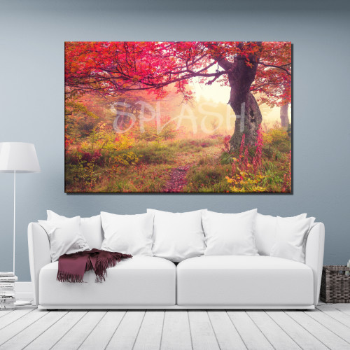 Cuadro de paisaje impreso en lienzo con árbol en rojo otoñal