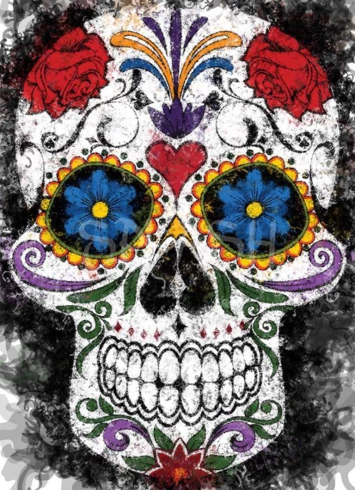 Cuadro figurativos de Calavera mexicana