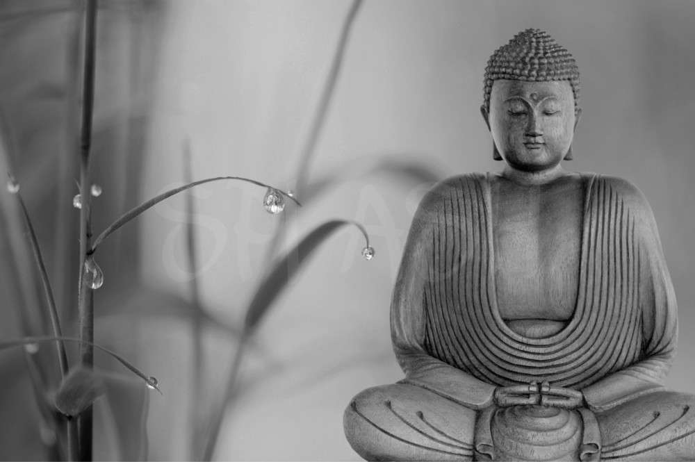 Cuadro de Buda en blanco y negro