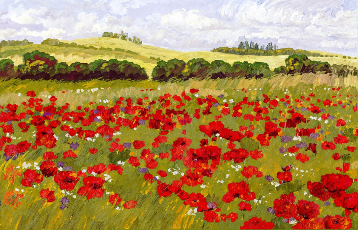 Cuadro moderno paisaje amapolas - la obra