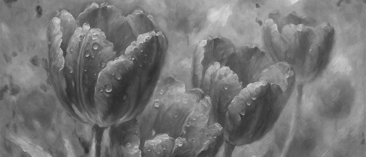 Cuadro Tulipanes blanco y negro - la obra