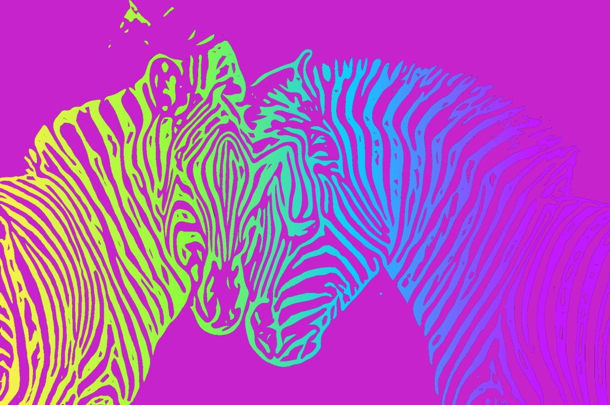 Cuadro pop art cebras magenta - la obra