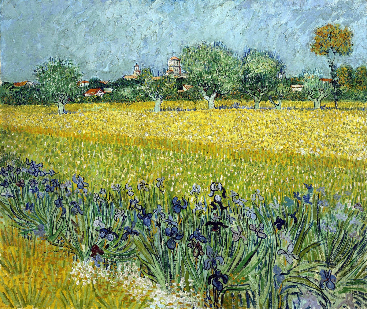 Cuadro de Van Gogh campo de lirios - la obra