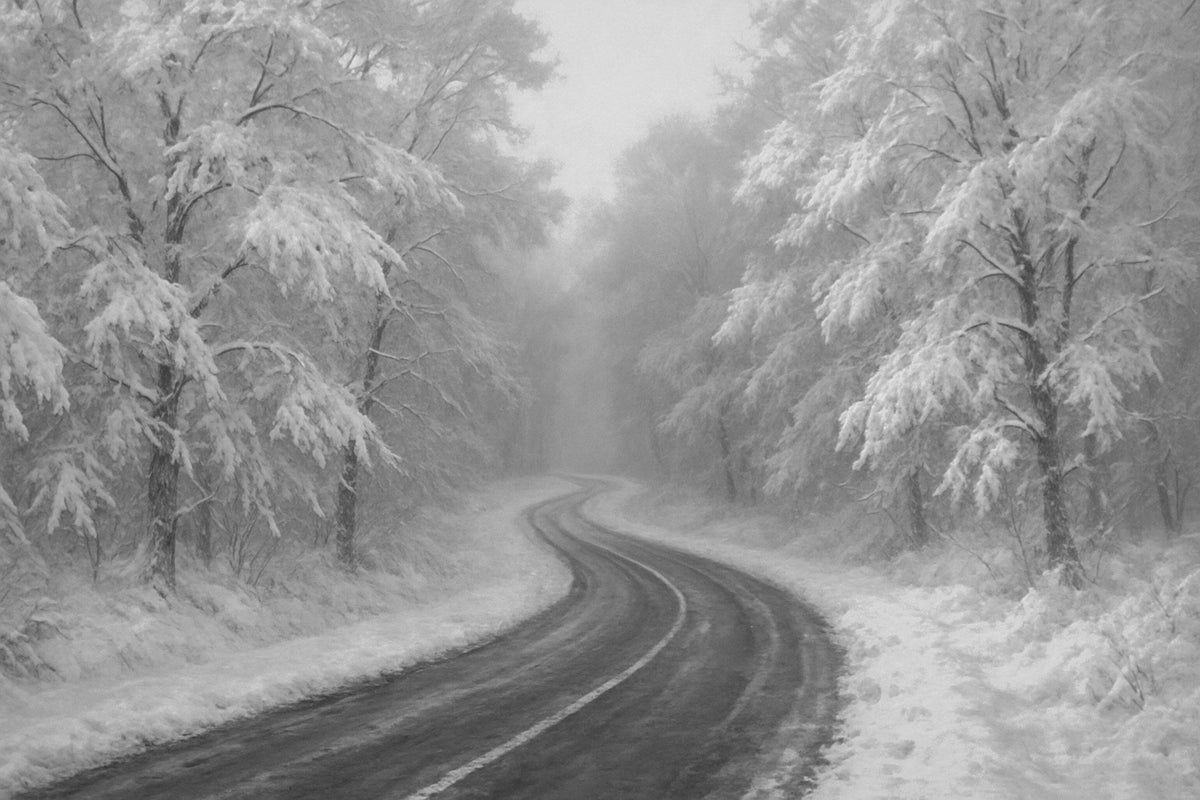 Cuadro de Paisaje invernal nevado - la obra