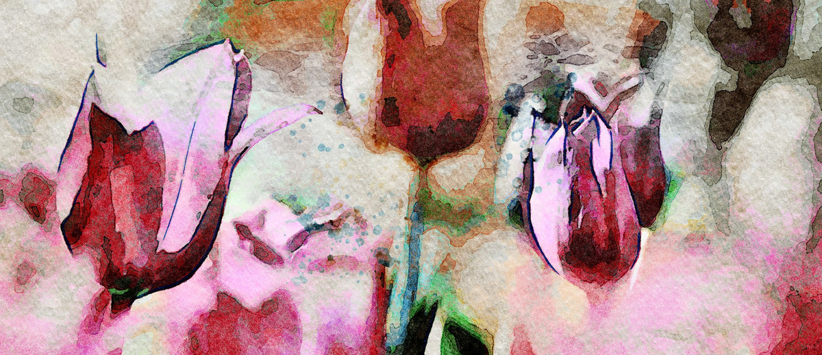 Cuadro de flores tulipanes magenta impreso - la obra