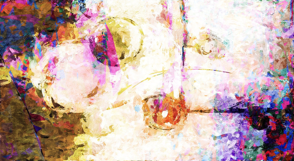 Cuadro Abstracto Círculos Fantástico - la obra