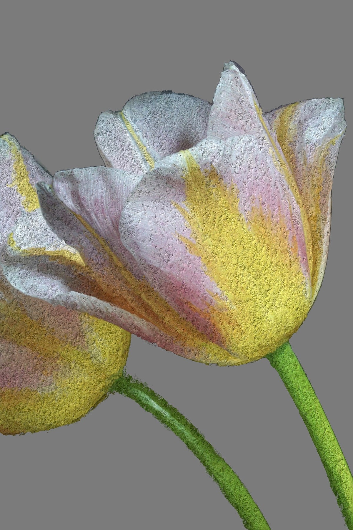 Cuadro pareja de tulipanes amarillos - la obra